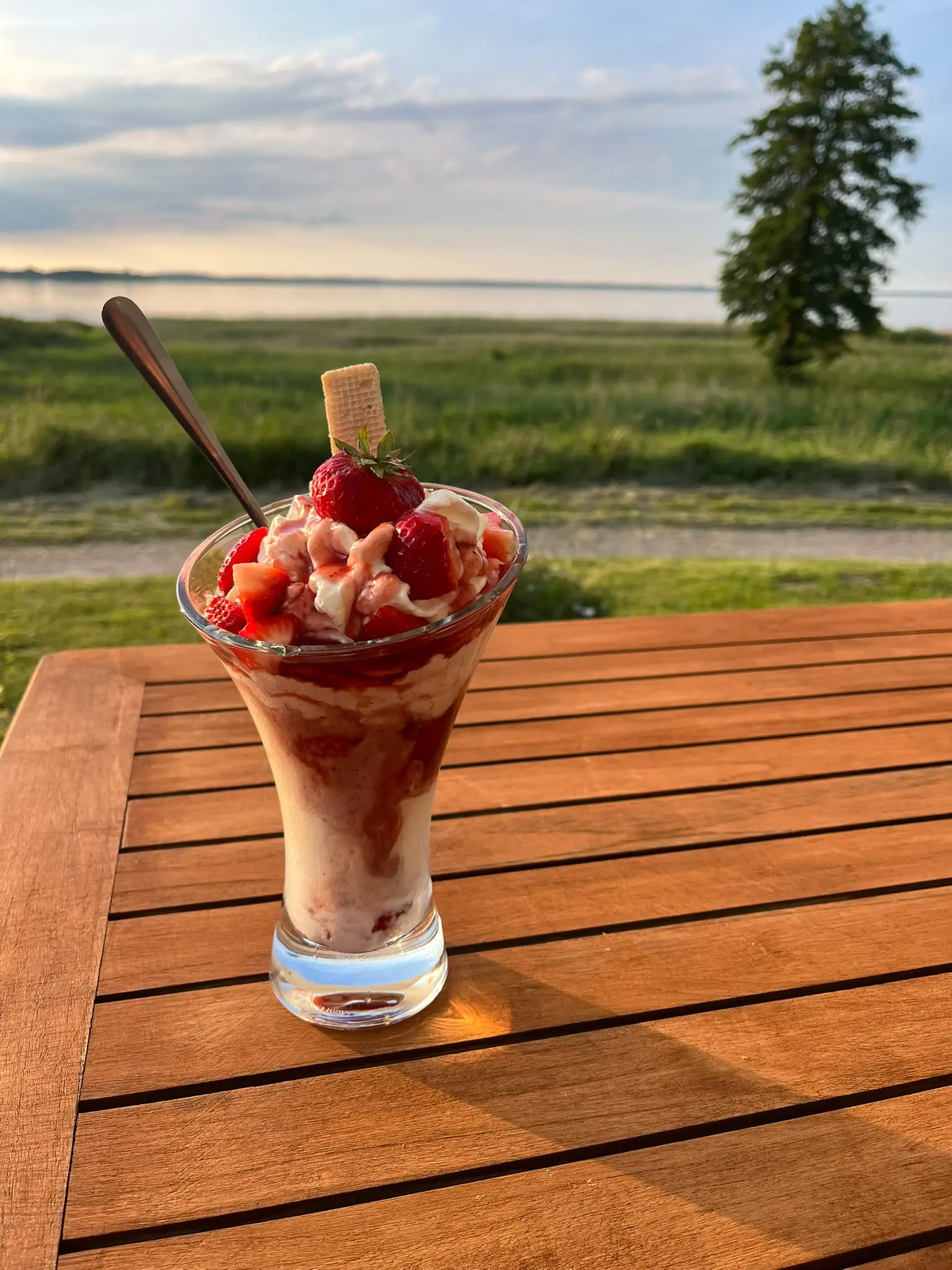 Erdbeereisbecher auf der Terrasse mit Seeblick